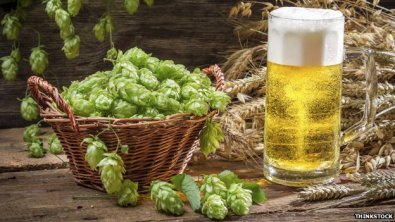 _74866092_beer-and-hops